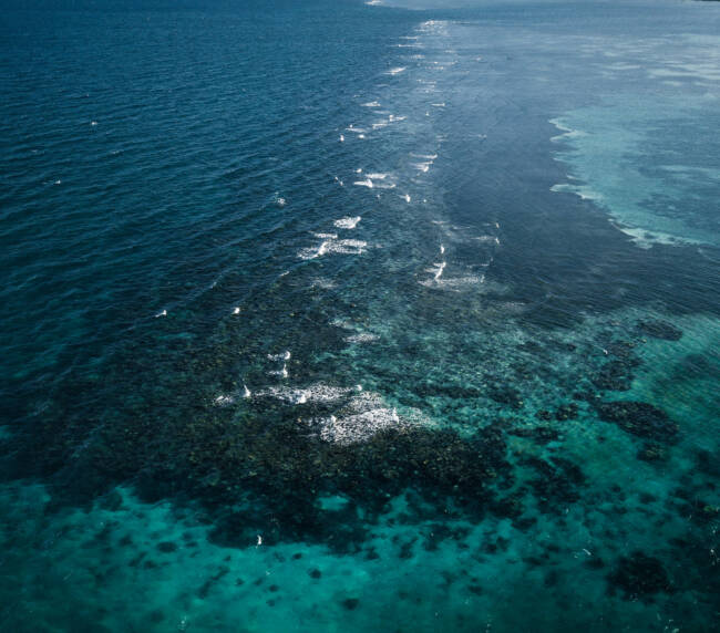 What’s Unique About the Belize Barrier Reef?