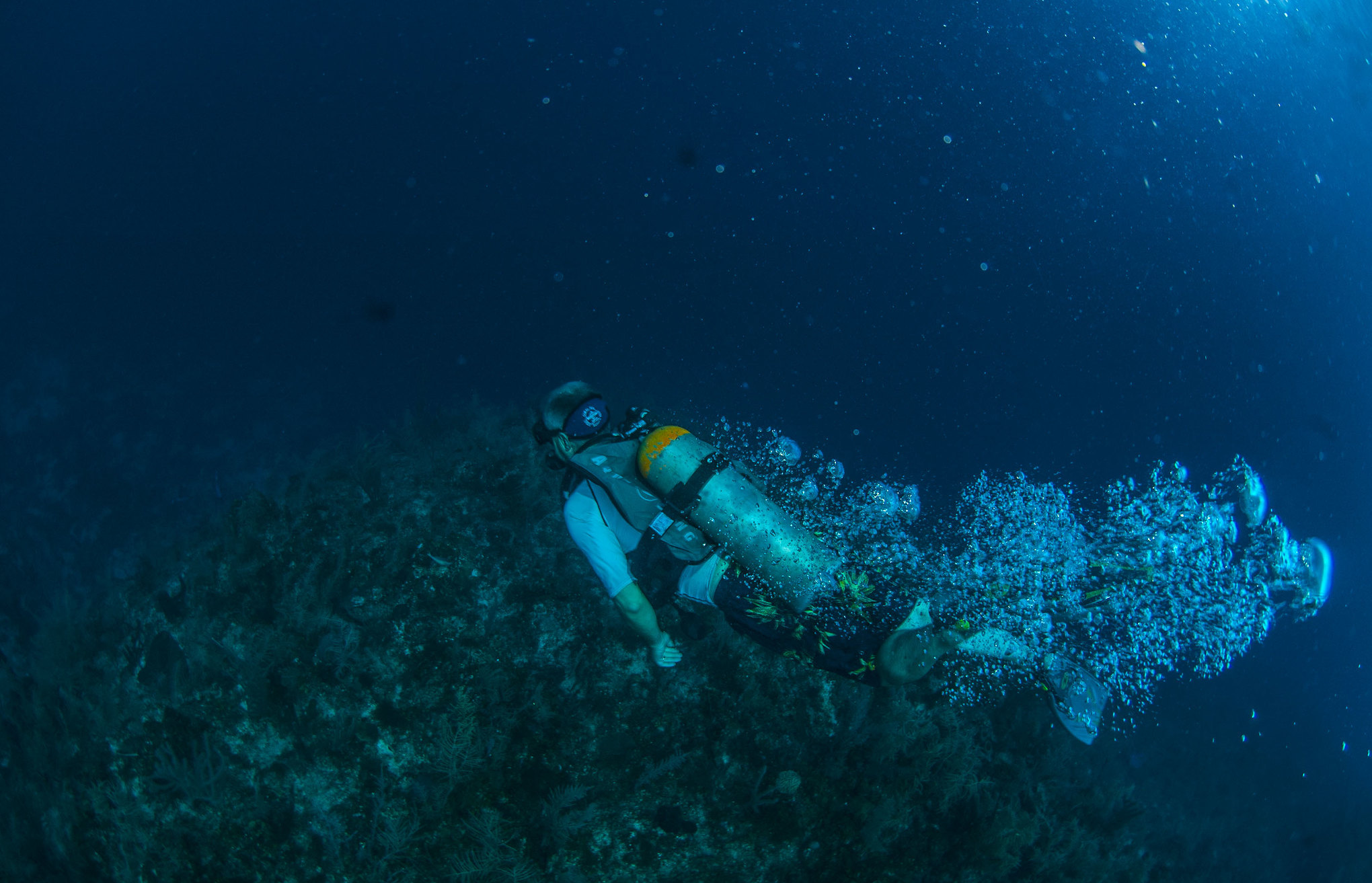 Sustainable Diving at Belize Dive Haven Resort Belize Dive Haven Resort