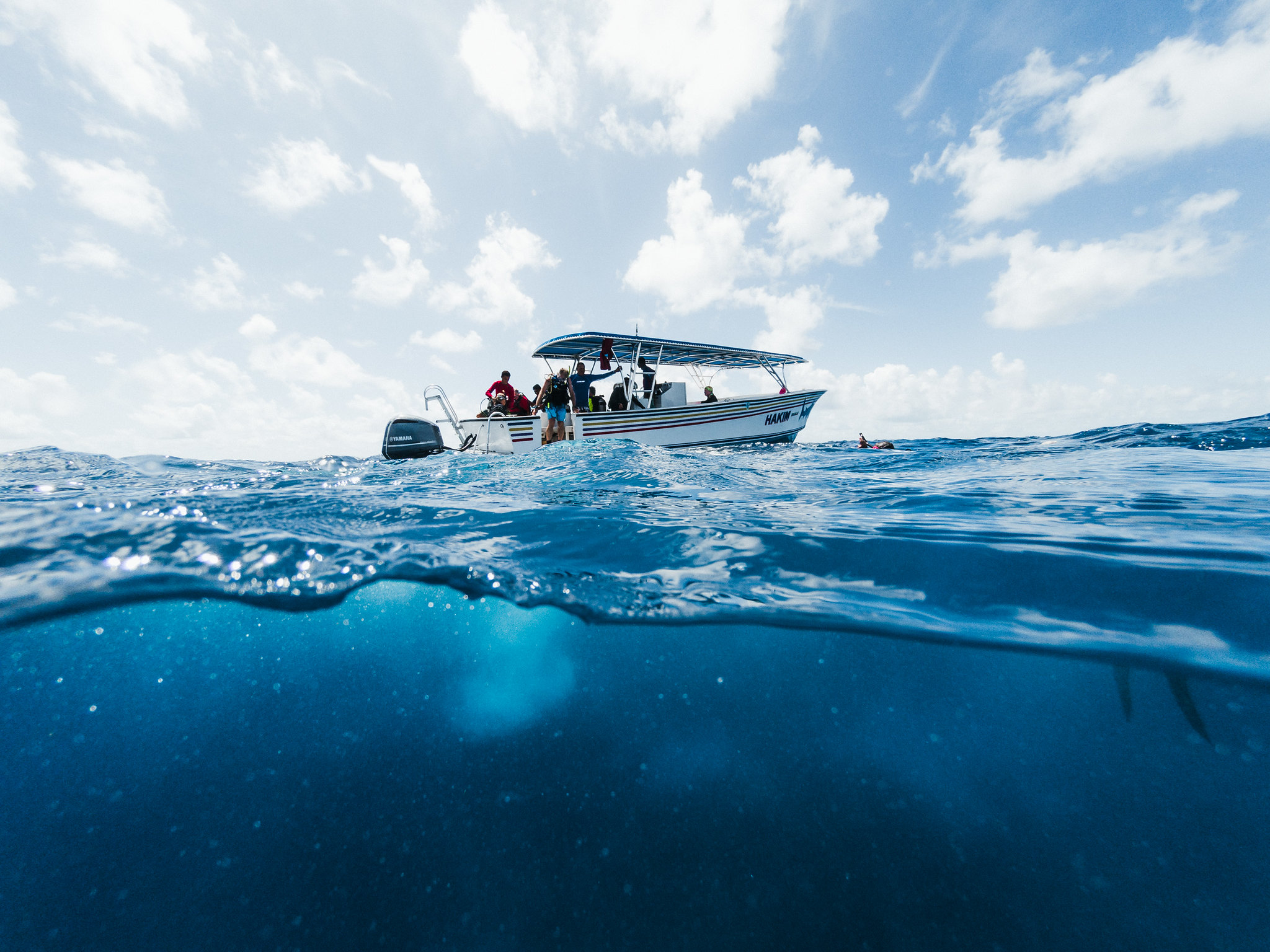 Scuba Diving Courses Available at Belize Dive Haven Belize Dive Haven Resort