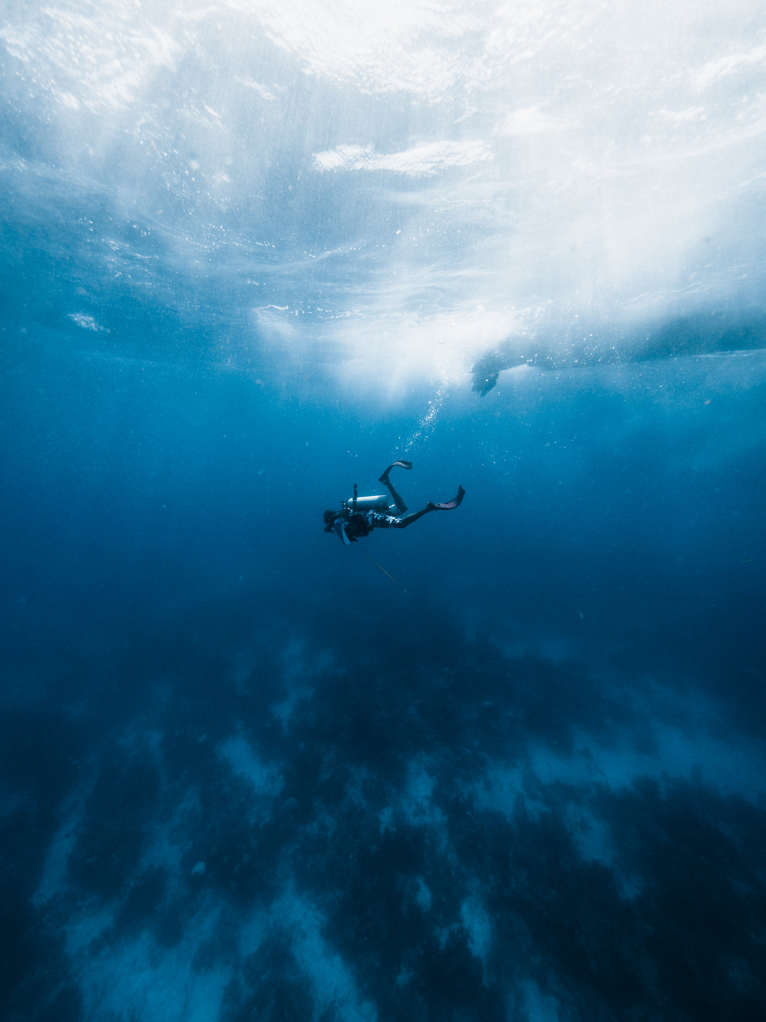 Scuba Diving is Good for Stress Reduction Belize Dive Haven Resort