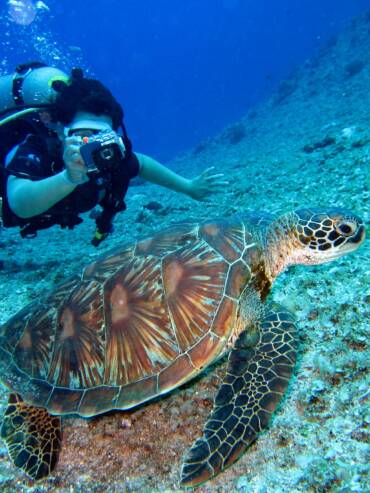 How Long is Diving Season in Belize?