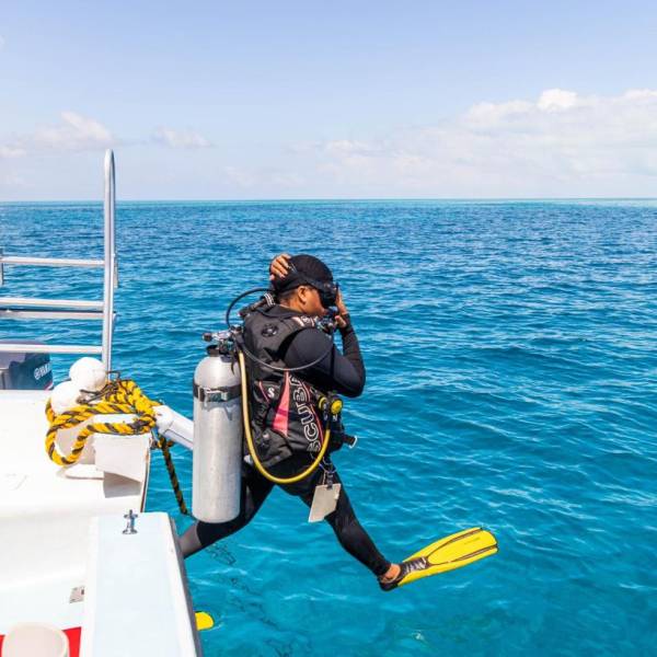 Tips for Diving in Turneffe Atoll